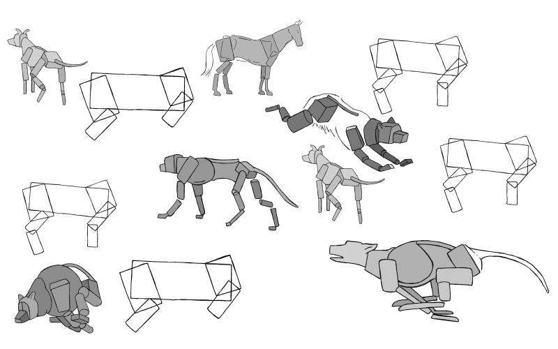 Slide image for the draw animals exercise